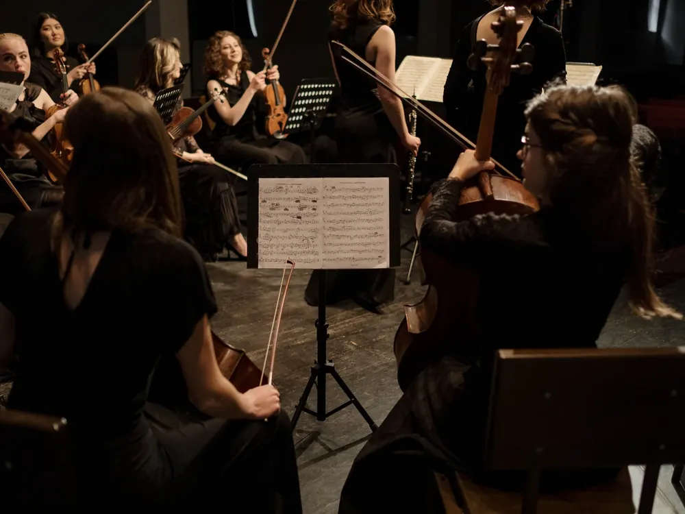 String players from an orchestra reading from music stands during a performance